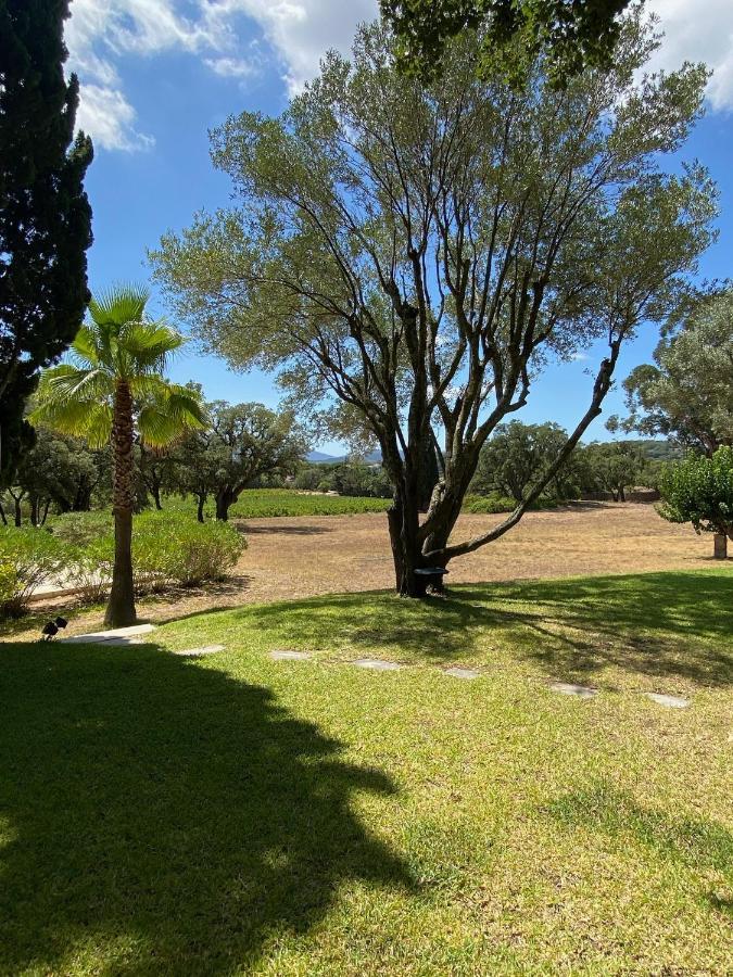 Villa Provencale Familiale Avec Piscine Grimaud Exteriör bild