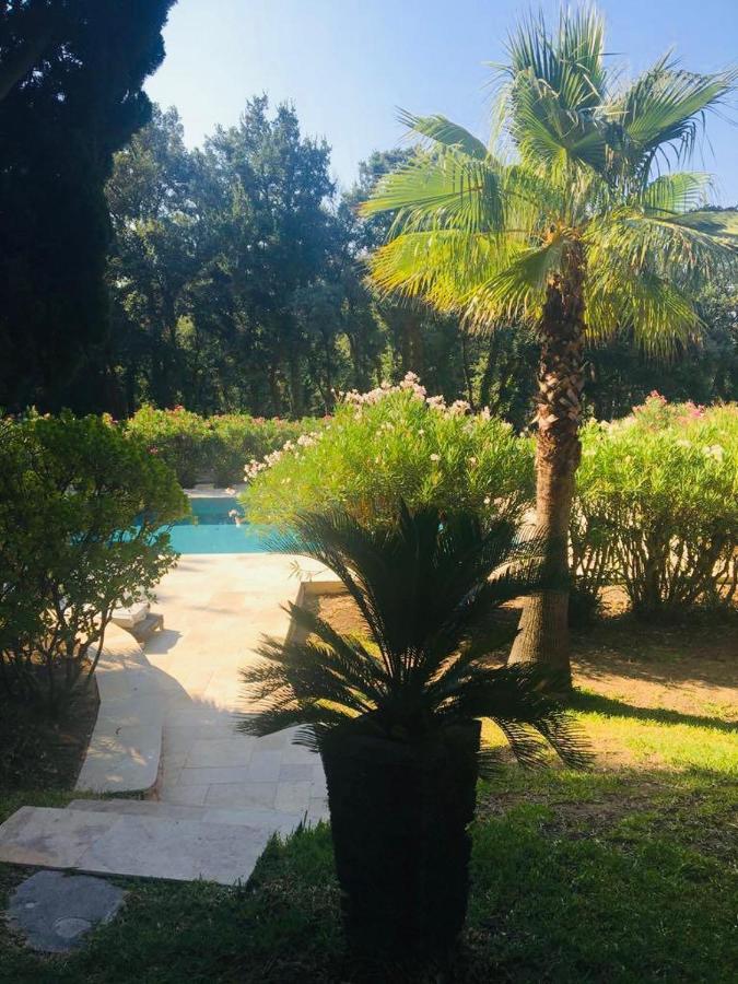 Villa Provencale Familiale Avec Piscine Grimaud Exteriör bild