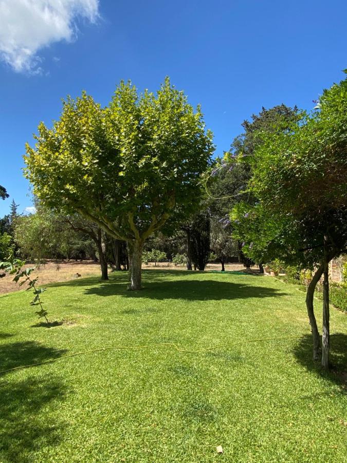 Villa Provencale Familiale Avec Piscine Grimaud Exteriör bild